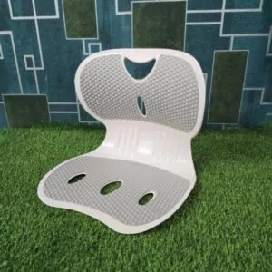 Ergonomic Back Support Seat